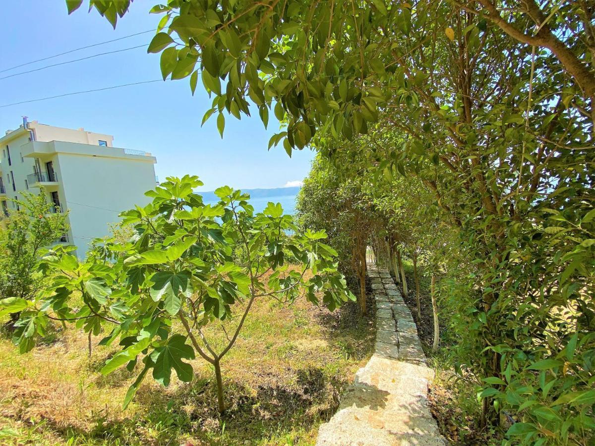 Ramo'S Green Beachside Retreat - Cozy 2 Bedroom Home Vlorë Екстериор снимка