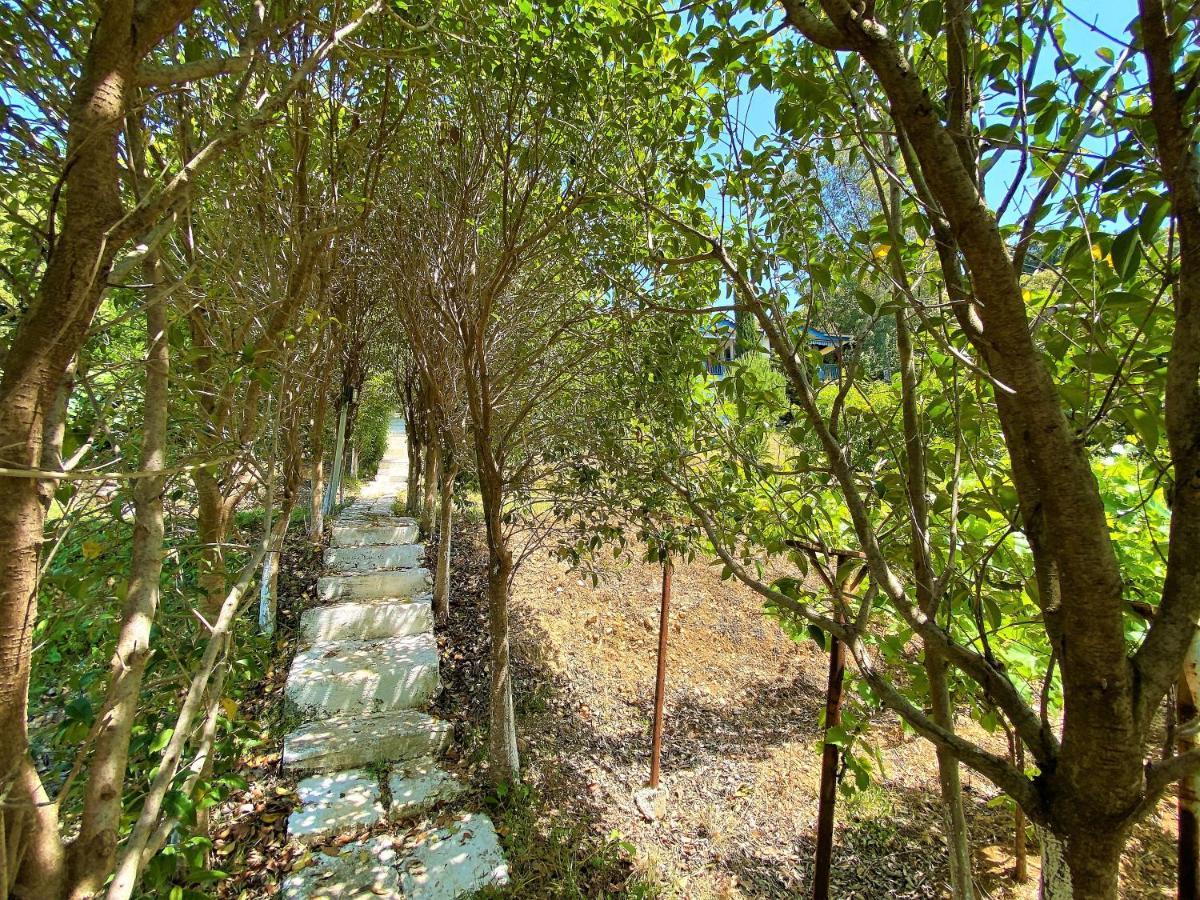 Ramo'S Green Beachside Retreat - Cozy 2 Bedroom Home Vlorë Екстериор снимка