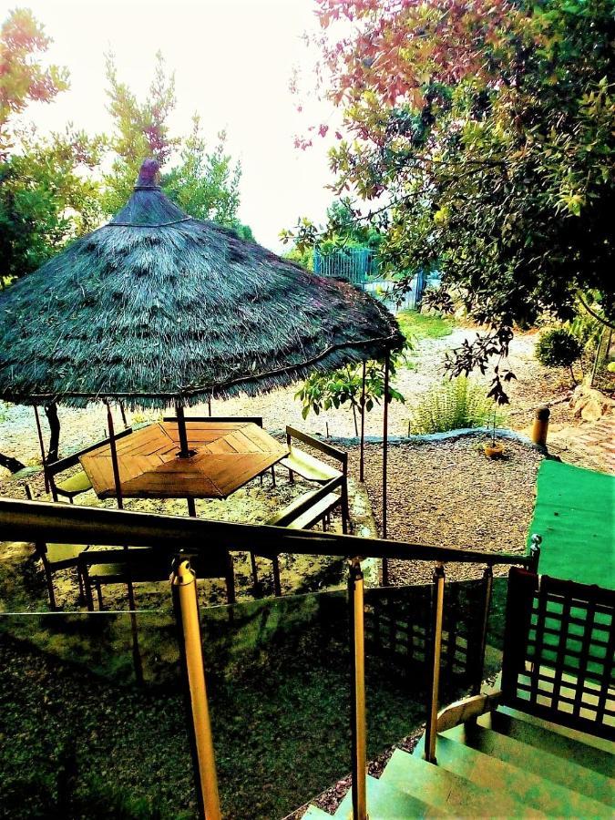 Ramo'S Green Beachside Retreat - Cozy 2 Bedroom Home Vlorë Екстериор снимка